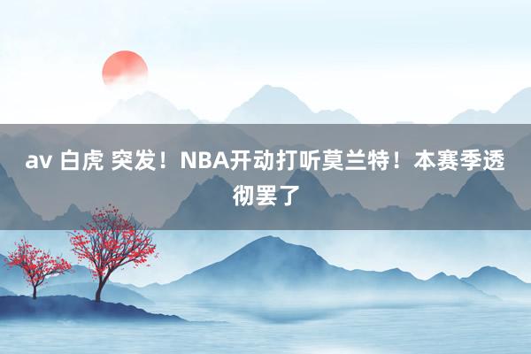 av 白虎 突发！NBA开动打听莫兰特！本赛季透彻罢了
