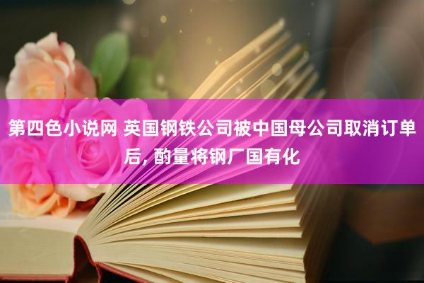 第四色小说网 英国钢铁公司被中国母公司取消订单后， 酌量将钢厂国有化