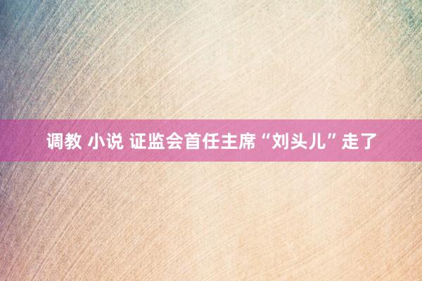 调教 小说 证监会首任主席“刘头儿”走了