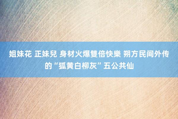 姐妹花 正妹兒 身材火爆雙倍快樂 朔方民间外传的“狐黄白柳灰”五公共仙