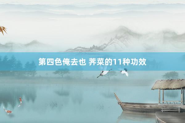 第四色俺去也 荠菜的11种功效