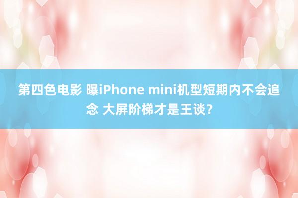 第四色电影 曝iPhone mini机型短期内不会追念 大屏阶梯才是王谈？